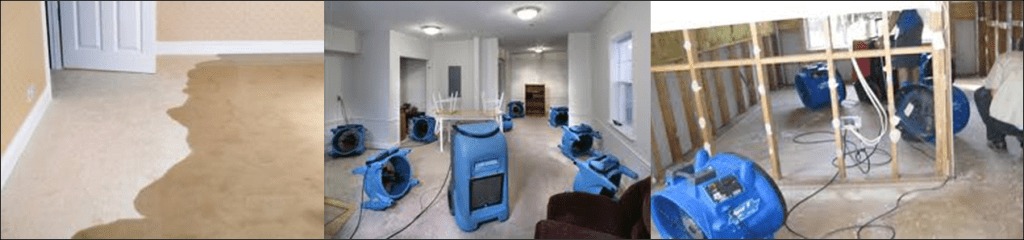 The Complete Guide To Carpet Flood Restoration Restoring Your Carpets