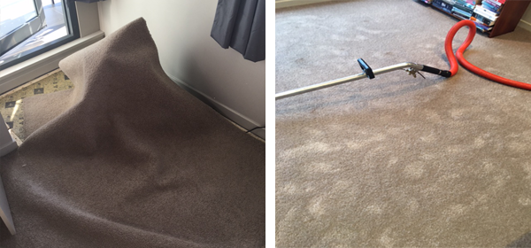 Carpet Water Damage