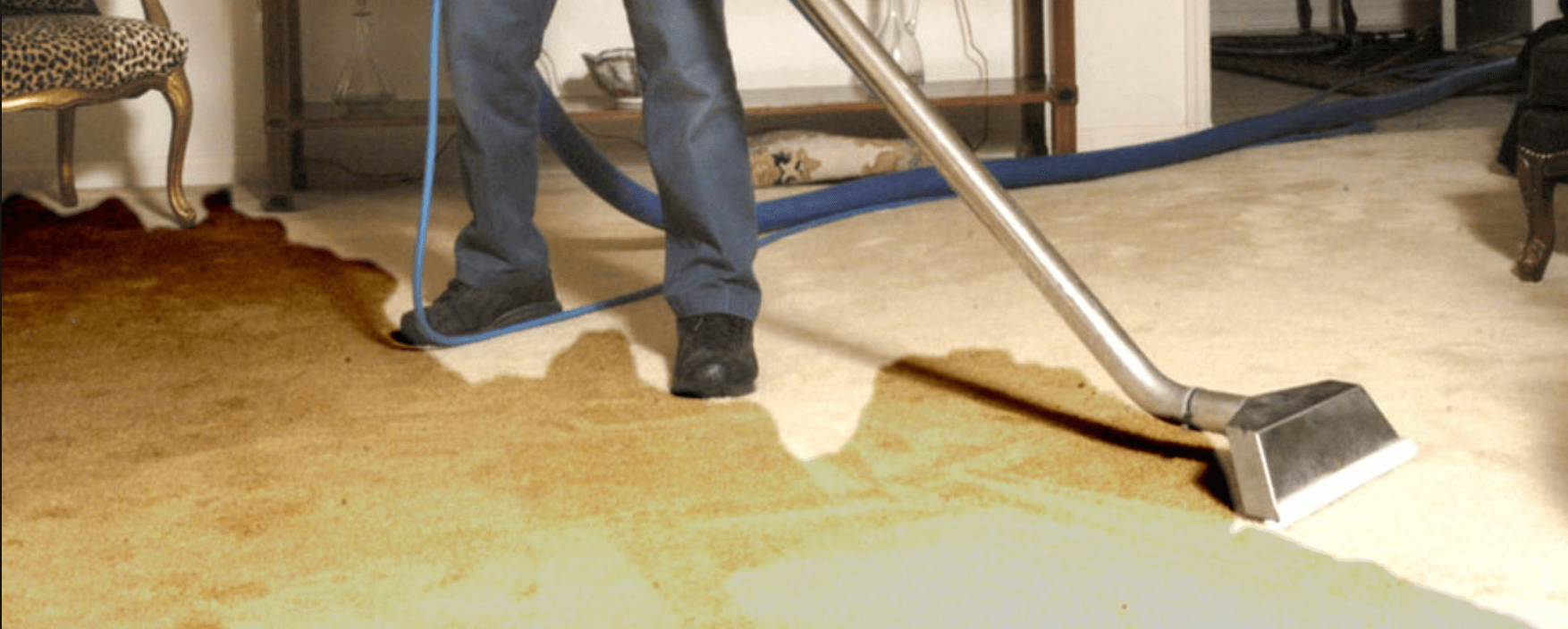 Carpet Water Damage Repair
