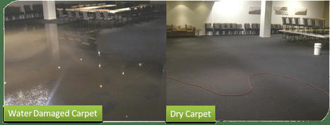 Carpet Water Damage Repair
